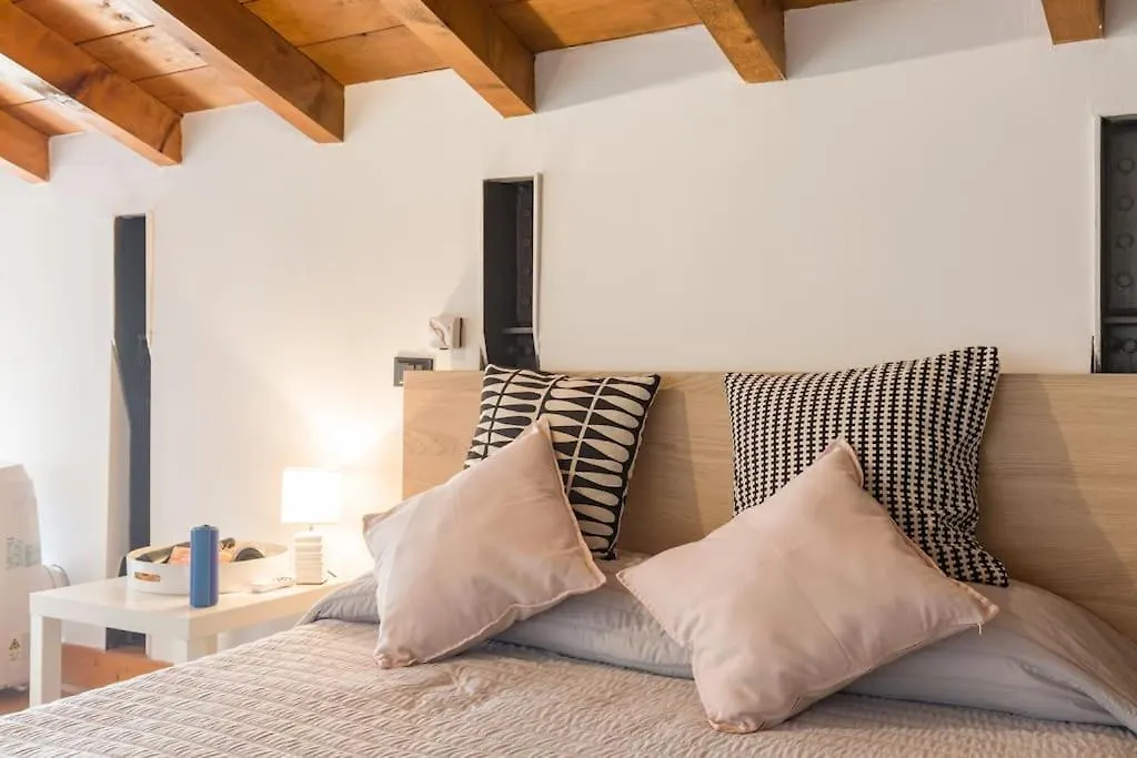 Magnificent 1800 In The Heart Of Verona Apartment
